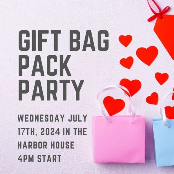 Gift Bag Pack Party